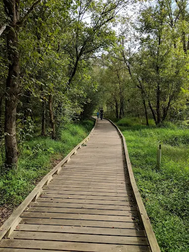 Conestee Park walkway